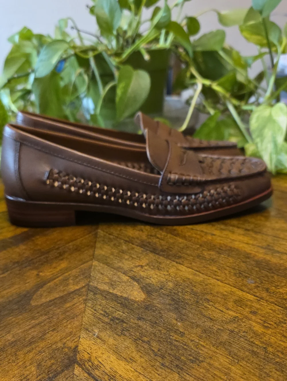 Gianni Bernini classic brown